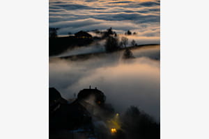 Nachtnebel