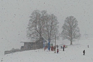 Im Schneegestöber
