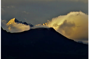 Morgennebel