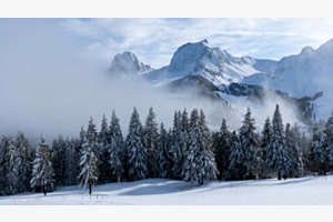 Nünenen und Gantrisch 