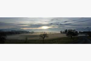 Nebel zieht übers Land