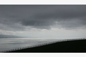 Lavaux