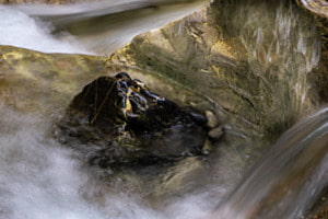 Im Goldrausch