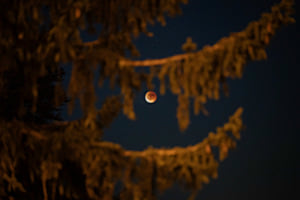 The Lunar „Blood Moon“ Eclipse 