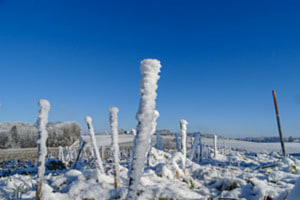 Klirrende Kälte