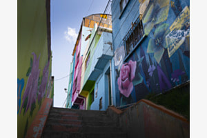 La vie colorée