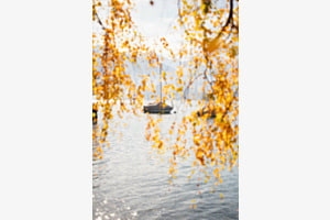 Boot durch Herbstblätter