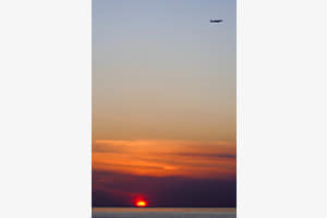 Fly away.