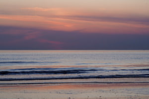 Hollands Natur 2
