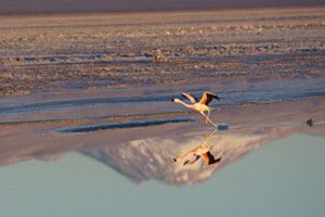 Abflug