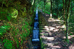Stufenlevada