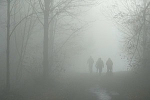 Spaziergang im Nebel