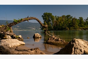Naturbrücke