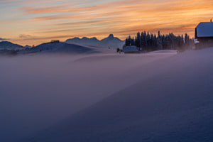 Abendruhe im winterlichen Nebel