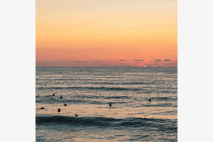 Surfing 