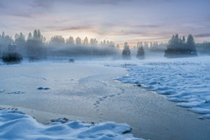 Winterstimmung im Moor