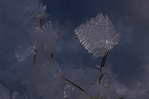 Geometrie des Frostes