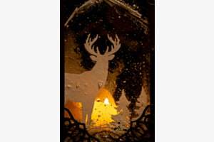 Im Weihnachtswunderland