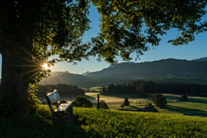 Lieblingsplatz