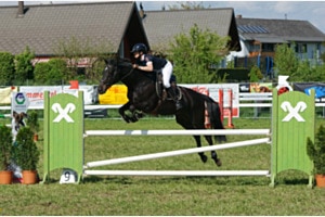 Springreiten