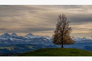 Goldene Stunde im Emmental