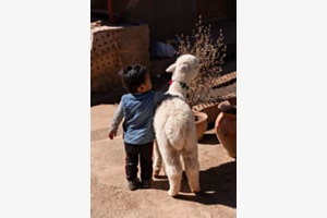 A Touch of Peru: Friendship Beyond Words