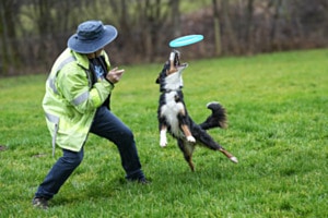 Frisbee