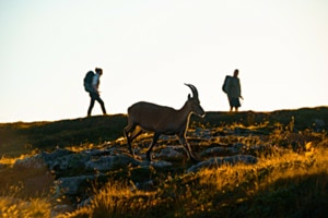 Sunrise hike with locals