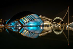 Walfisch in Valencia