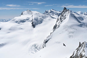 Freiheit