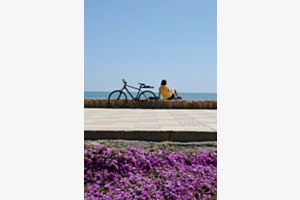 Meer Promenade 
