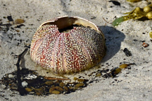 Beach Art auf den Lofoten Beach Art auf den Lofoten