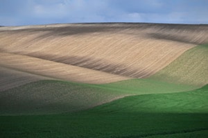 Grünstreifen 
