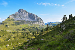 Swiss Cowboy Valley