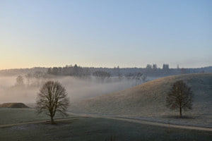 Nebellandschaft