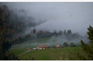 Nebel am Rigi