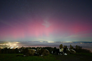 Polarlichtzauber Bodensee