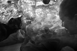 Magic Christmas