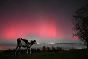 Kuhle Polarlichter über dem Bodensee
