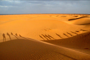 Vagues de dunes Vagues de dunes
