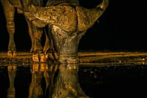 mirror image mirror image