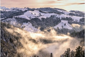 Nebelpoesie in den sanften Hügeln des Emmentals