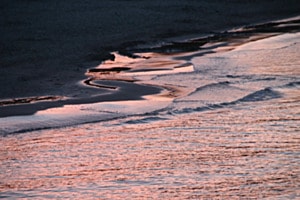 Wenn das Meer in Rosenfarben träumt“