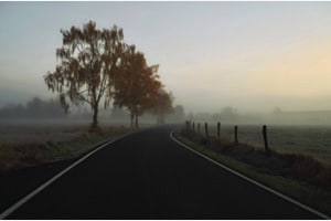 Grenzland 