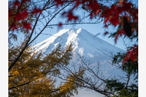 Fuji-san