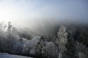 Eiskalt