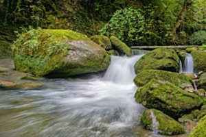 Wasser