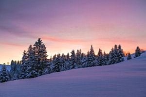 Winter