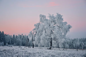 Eiszeit Eiszeit