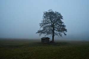 Stille 